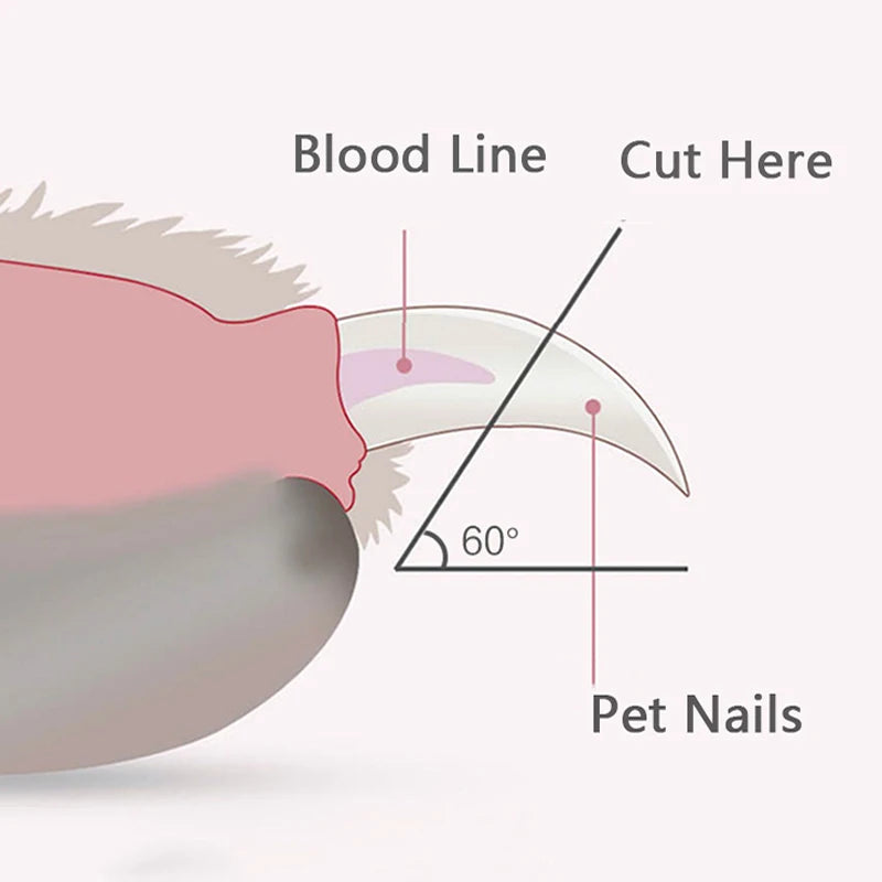 Professional Pet Nail Clippers with Led Light Pet Claw Grooming Scissors for Dogs Cats Small Animals Paw Nail Trimmer Pet Supply - Kitticus