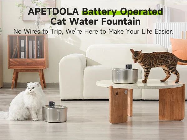The Kittticus Wireless Fountain - Kitticus