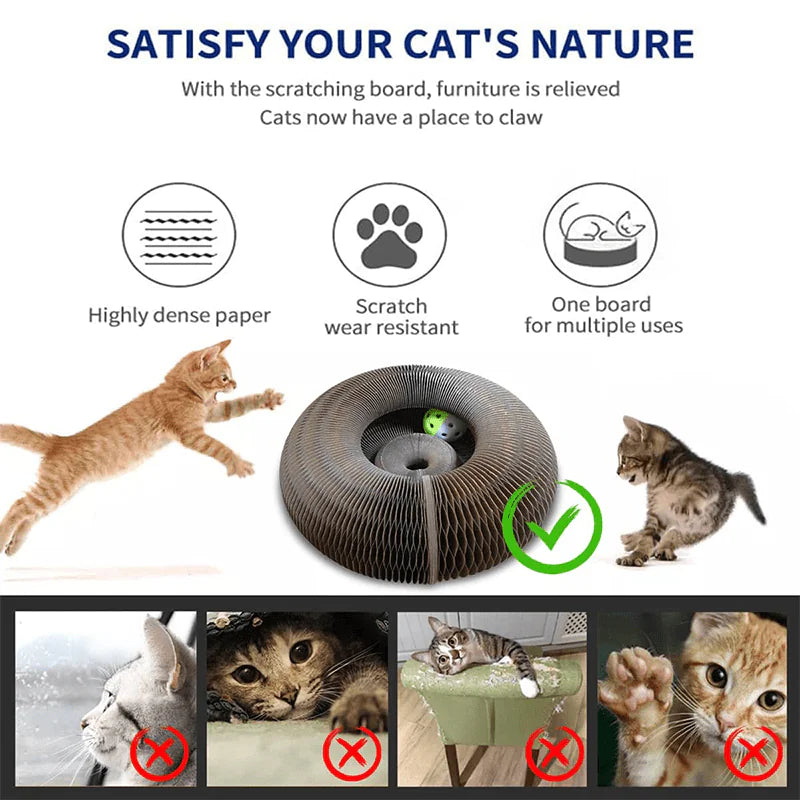 Paper Magic Organ Cat Scratching Board Cat Toy - Kitticus